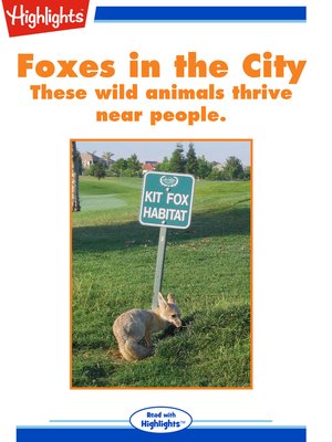 cover image of Foxes in the City